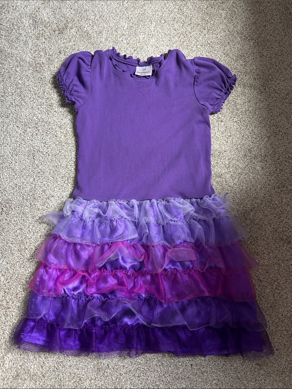 Hanna Andersson Purple Layered Tulle Dress